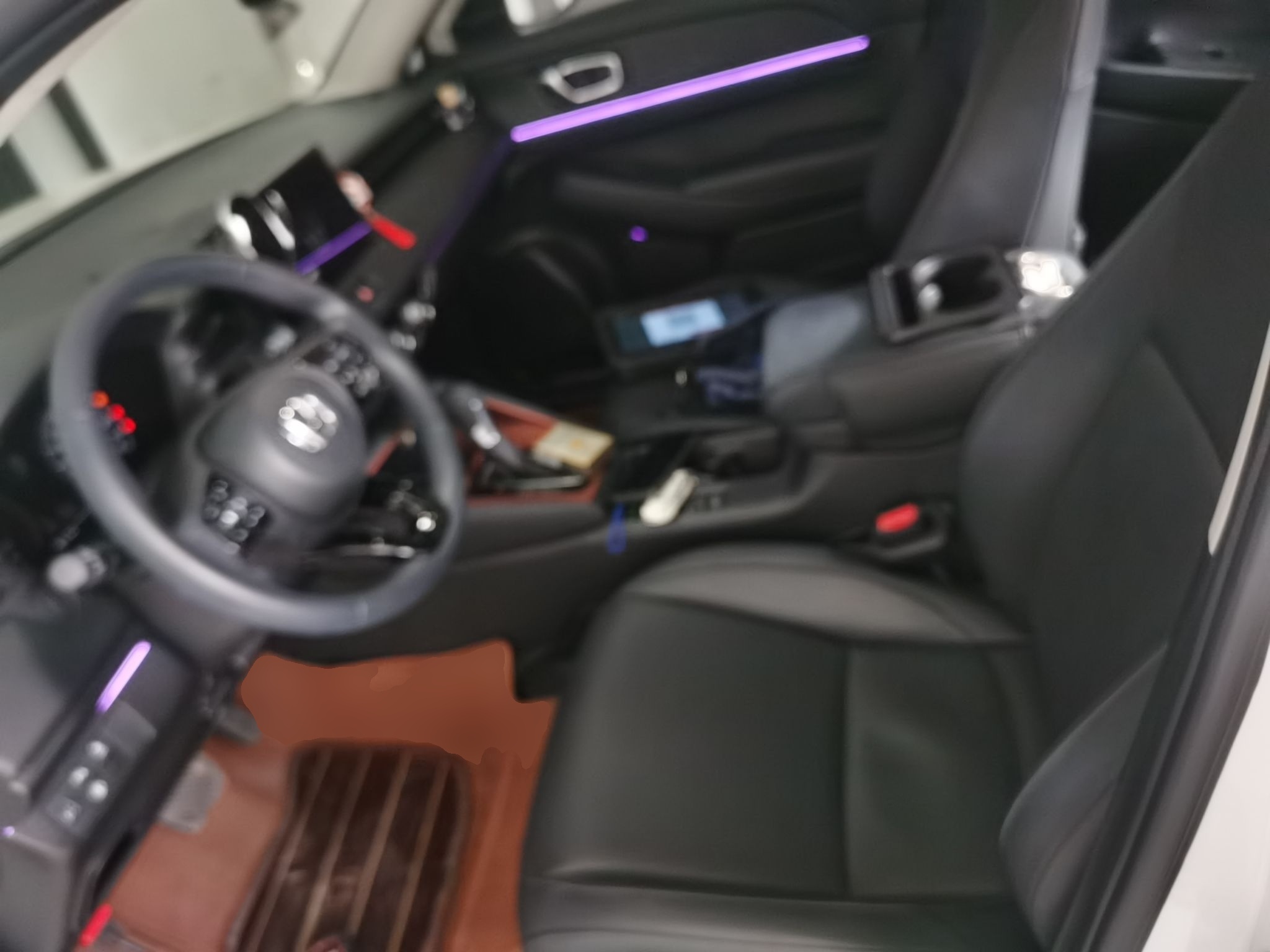Interior delantero