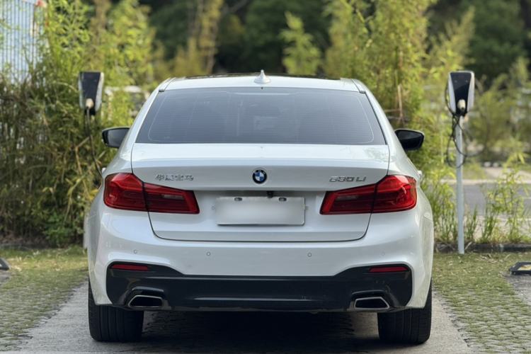 Used BMW 5 Series 2019 530Li Leading Model M Sport Package Exterior 5