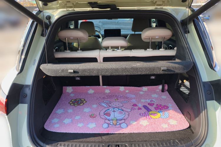 Used smart #1 2022 Pulse Heartbeat Edition