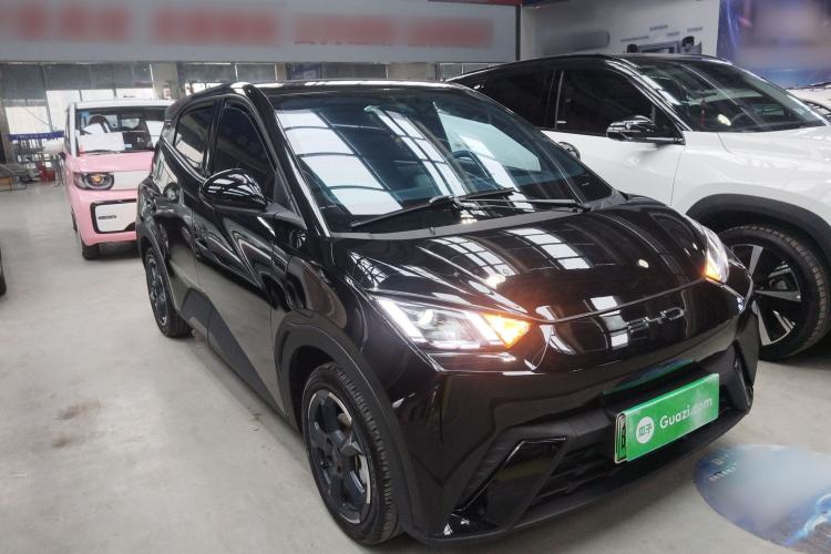 Used BYD Seagull 2023 Free Edition
