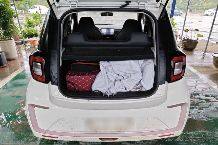 Used SOL E10X 2022 Flower Fairy Design Dandelion