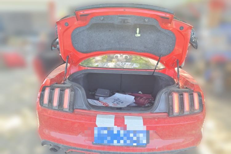 Used Ford Mustang 2016 2.3T Performance Edition Trunk