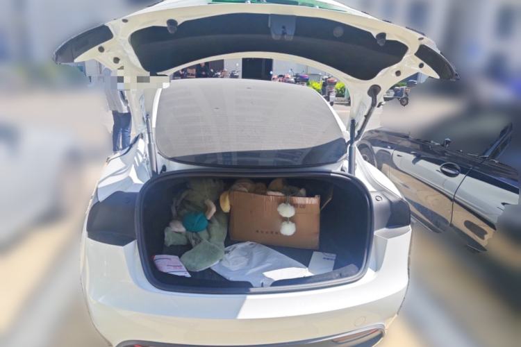 Used Tesla Model 3 2023 Rear-Wheel-Drive Version