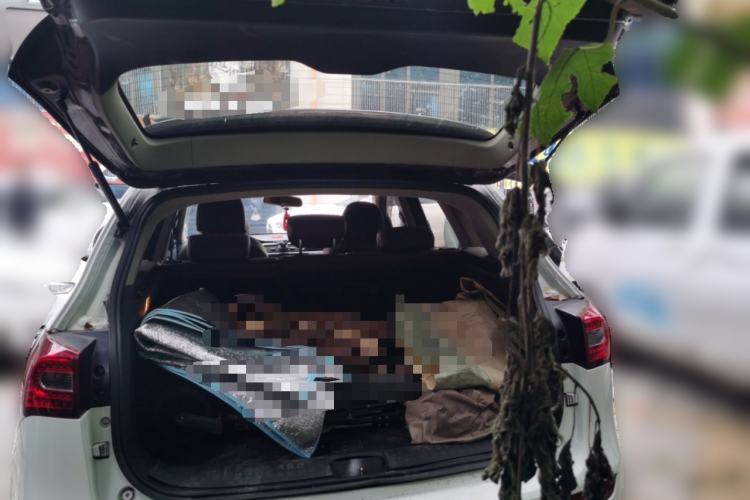 Used Zotye T600 2015 2.0T DCT Prestige Edition
