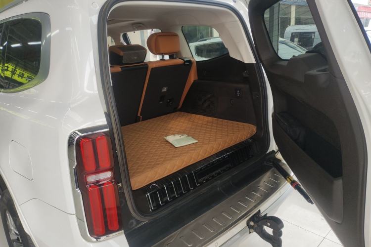 Used Tank 500 New Energy 2023 Hi4-T Trunk