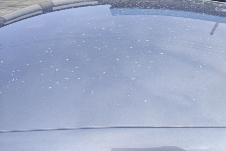 Used BYD Qin L 2024 DM-i 80KM Beyond Model
