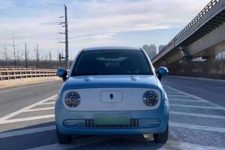 Used ORA Black Cat 2019 351 km Family Edition