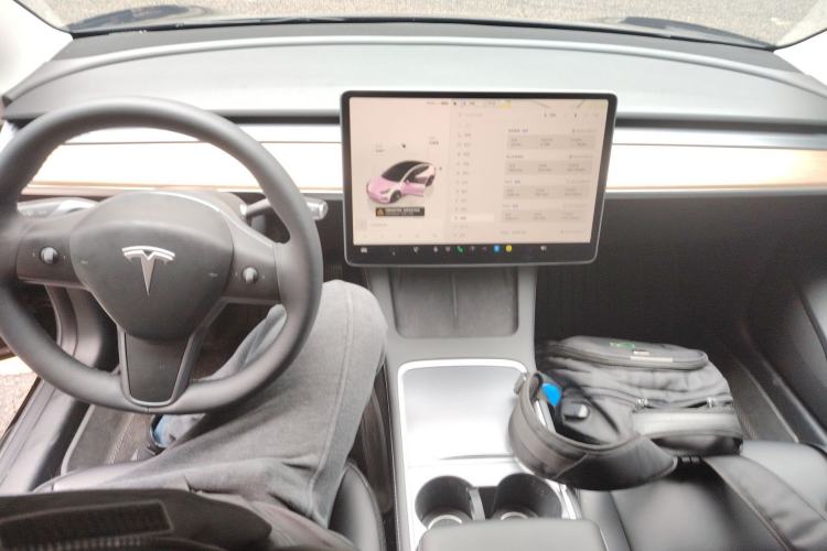 Used Tesla Model 3 2022 Rear-Wheel-Drive Version Center Console