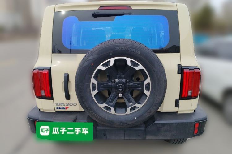 Used Tank 300 New Energy 2025 Hi4-T
