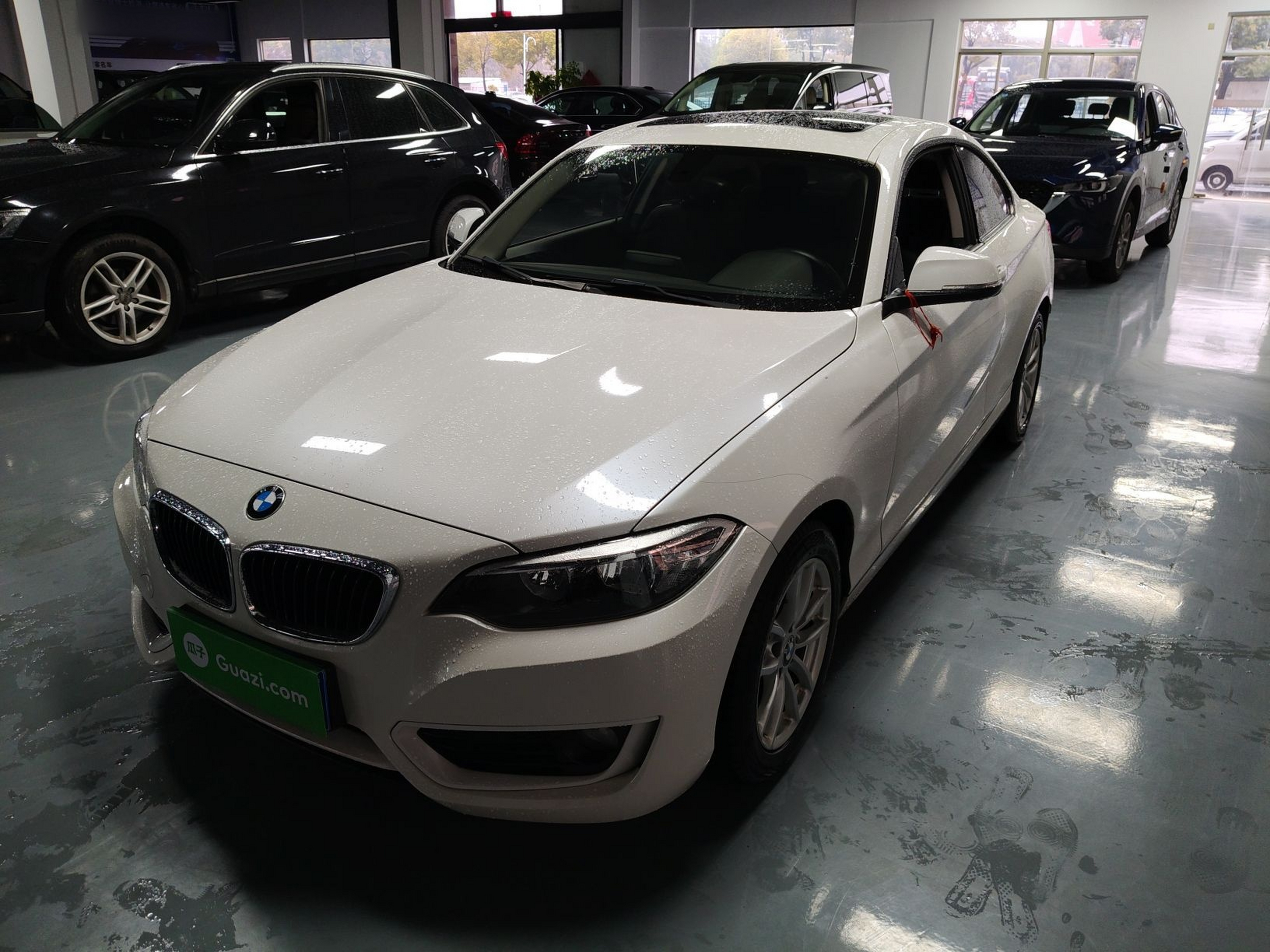 Under Front Bumper