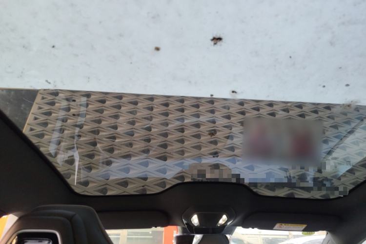 Used Hongqi EH7 2024 690 Pro
