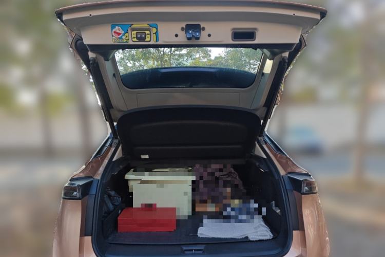 Used Nissan ARIYA 2022 Two-Wheel Drive Long Range Top-Tier Version