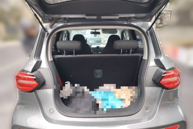 Used Leapmotor T03 2021 400 Lite Edition - Lithium-Ion Battery