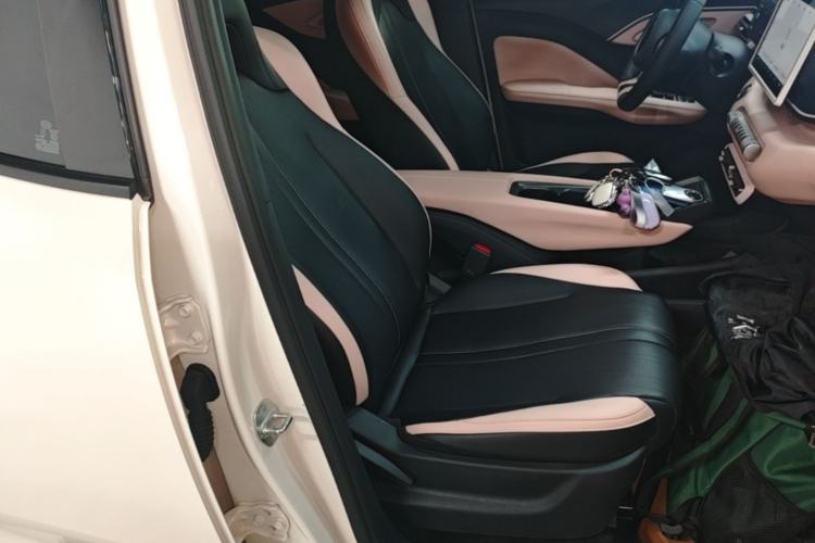 Used BYD Seagull 2025 305 km Free Version Right Front Seat