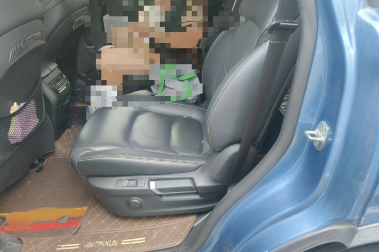 Used SAIC MAXUS D90 2017 2.0T Automatic All-Wheel Drive Sirius Left Rear Seat