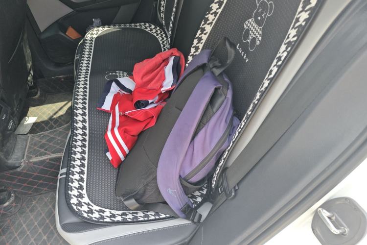 Used Volkswagen T-ROC 2023 300TSI DSG Two-Wheel-Drive Chen Guang Edition Left Rear Seat