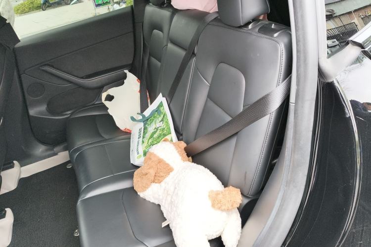 Used Tesla Model Y 2023 Rear-Wheel-Drive Version