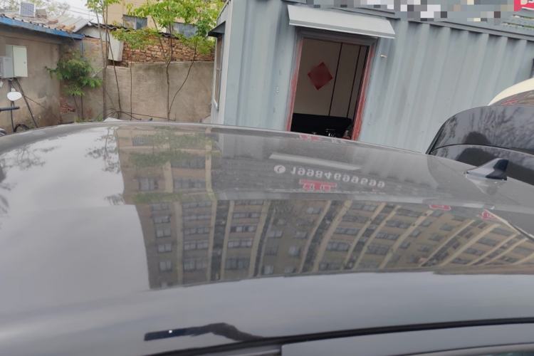 Used BYD Dolphin 2024 Honor Edition 420km Freedom Version Roof