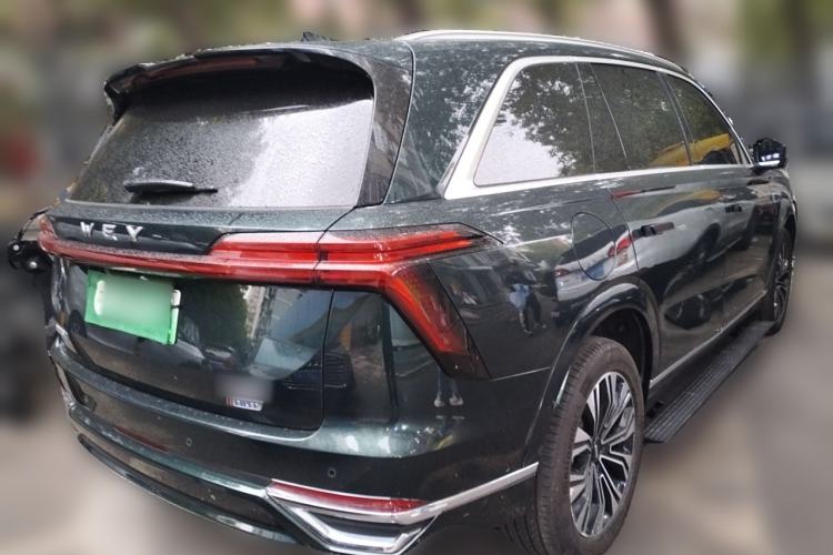 Used Wey Lanshan 2023 Four-Wheel Drive Ultra-Long Range Version
