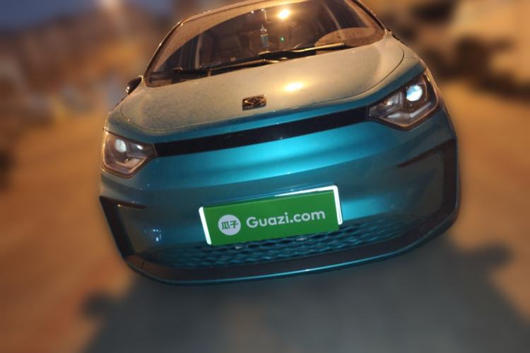 Used SOL E10X 2022 Flower Fairy Design Four-Leaf Clover Front