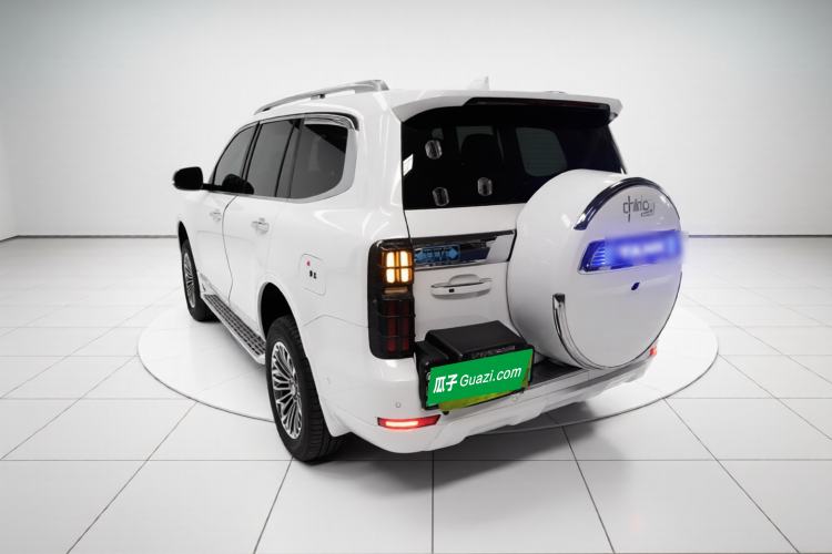 Used Tank 500 New Energy 2025 Hi4-Z Exterior 2