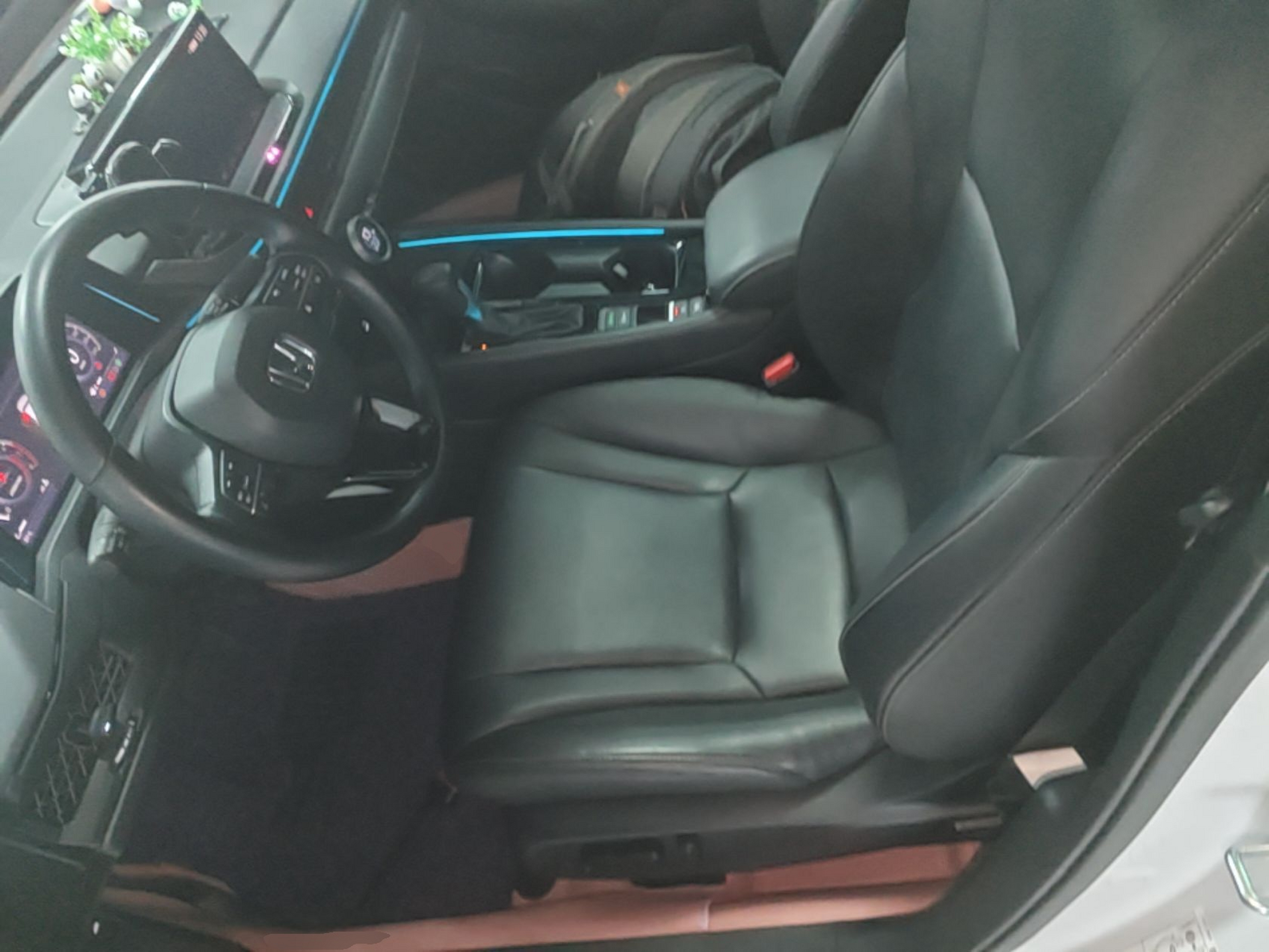 Interior delantero