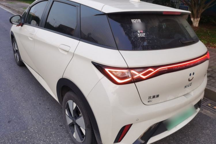 Used BYD Dolphin 2023 420 km Free Version Rear Left 45 Deg