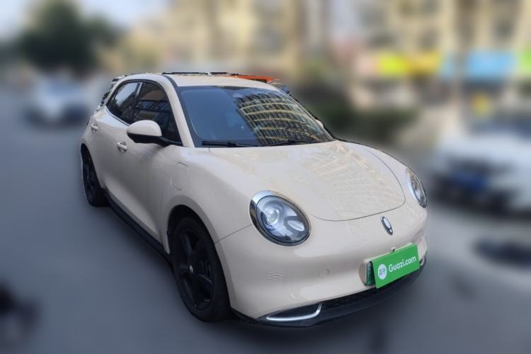 Used ORA Good Cat 2024 401 km Luxury Version