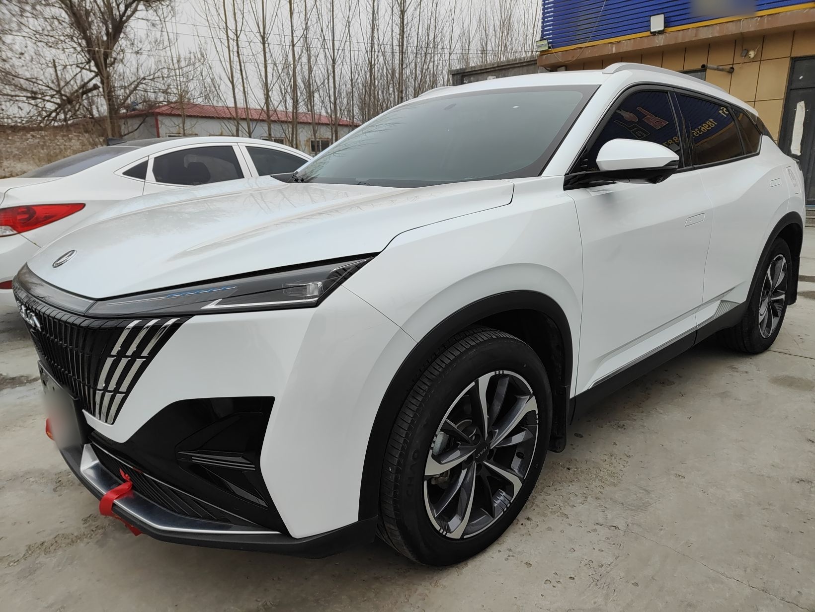 تحت مقدمة السيارة