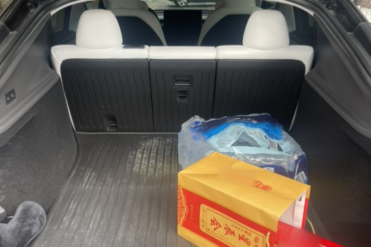 Used Tesla Model Y 2025 Updated Version Long-Range All-Wheel Drive
