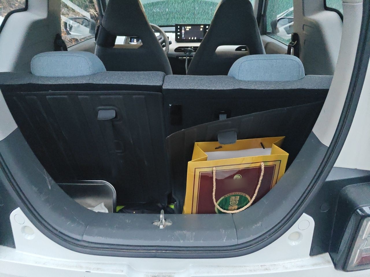 Geely Galaxy Panda 2023 Panda Mini 200km Endurance Bear — снимка 19