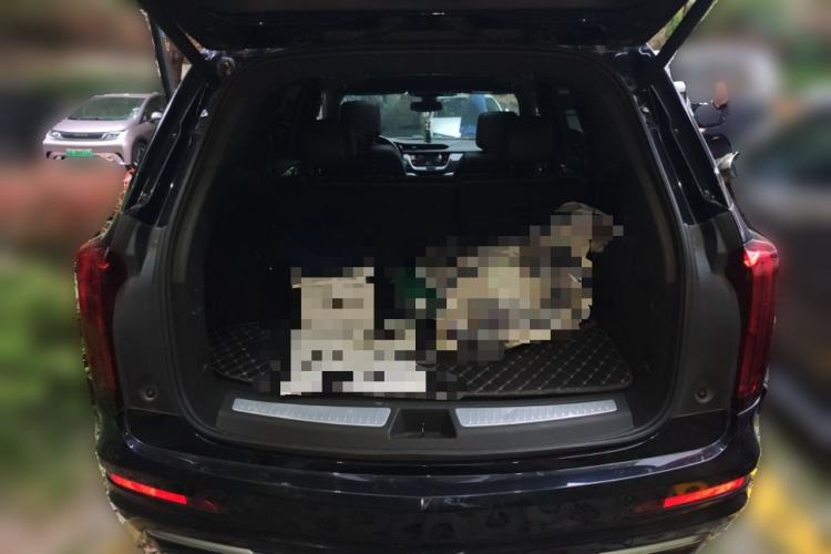 Used Cadillac XT6 2021 2.0T 7-Seater Four-Wheel Drive Luxury Version