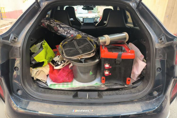 Used Haval H6S 2022 2.0T Two-Wheel Drive ZhiRun Version