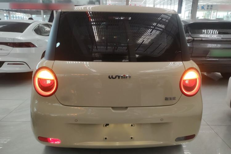 Used Qiyuan Lumin 2023 205km Xiangqin Version
