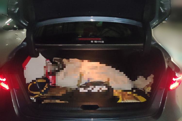 Used Chery Arrizo 5 PLUS 2021 Xiao AI 1.5T CVT Enjoy PLUS
