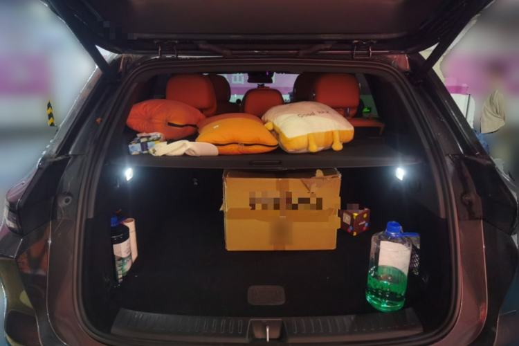 Used Li Auto L6 2024 Pro Model