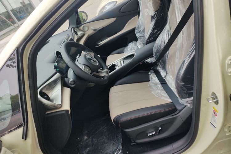 Used BYD Dolphin 2025 420km Free Edition Left Front Seat