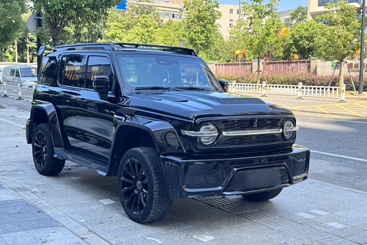 Used Cyberspace Tank 300 2023 2.0T Cyber Knight