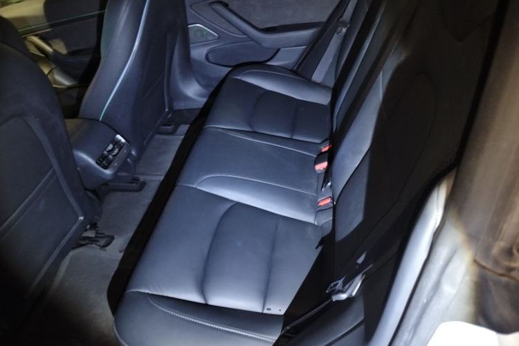 Used Tesla Model 3 2020 Revised Version Standard Range Rear-Wheel Drive – Upgraded Edition Left Rear Seat