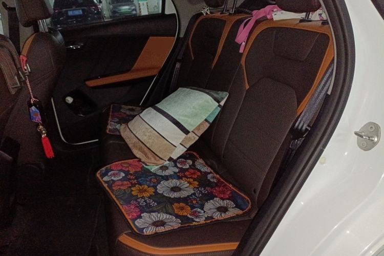 Used BYD e2 2020 Upgraded Version Extended Range Edition Premium Model Left Rear Seat