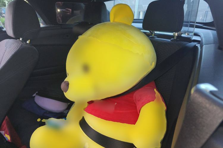 Used BMW 2 Series 2018 225i Convertible Coupe M Sport Edition Left Rear Seat