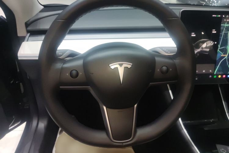 Used Tesla Model 3 2019 Long-Range All-Wheel-Drive Version
