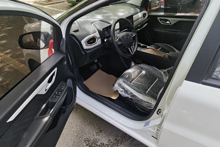 Used SOL E10X 2022 Flower Fairy Design Dandelion
