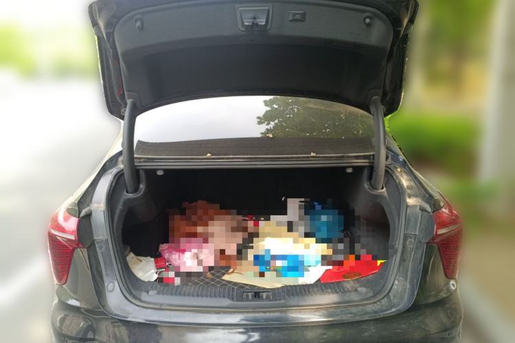 Used Hongqi H5 2023 2.0T Automatic Smart Connect Flagship Edition Trunk