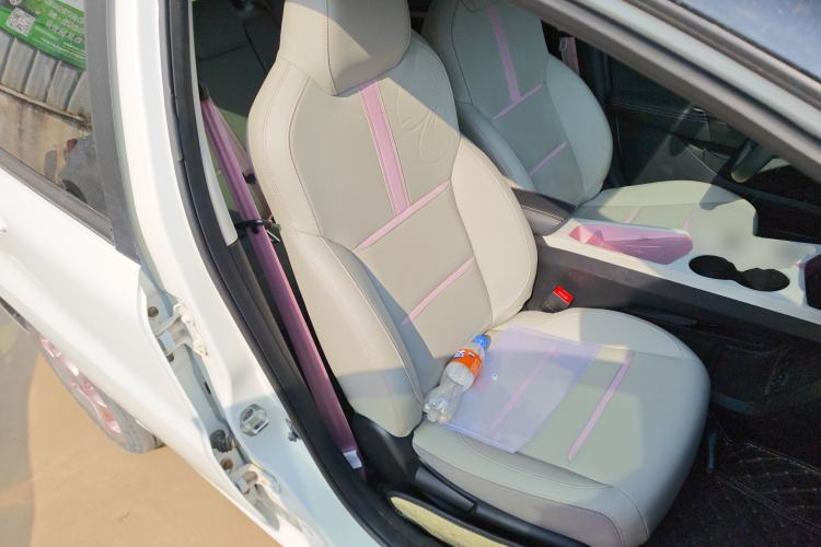 Used SOL E10X 2022 Flower Fairy Design Sunflower