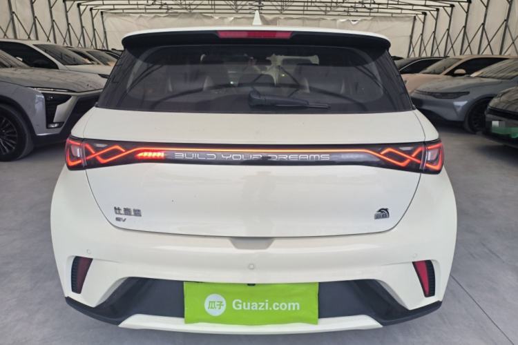 Used BYD Dolphin 2023 420 km Fashion Edition Rear