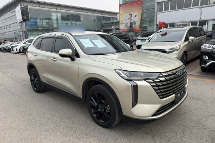 Used Haval H6 2024 2.0T All-Wheel Drive Max
