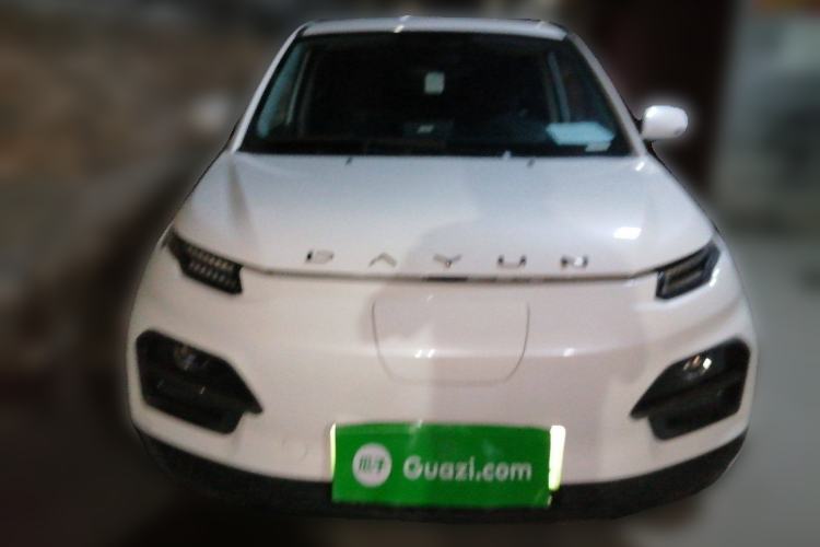Used Dayun Yuehu 2022 30.66 kWh Two-Wheel Drive Standard Version
