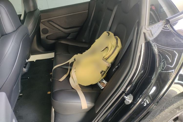 Used Tesla Model 3 2021 Standard Range Rear-Wheel Drive Upgraded Version 3D6