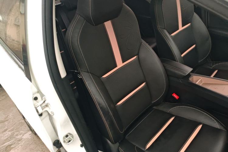 Used SOL E10X 2022 Flower Fairy Design Four-Leaf Clover Right Front Seat